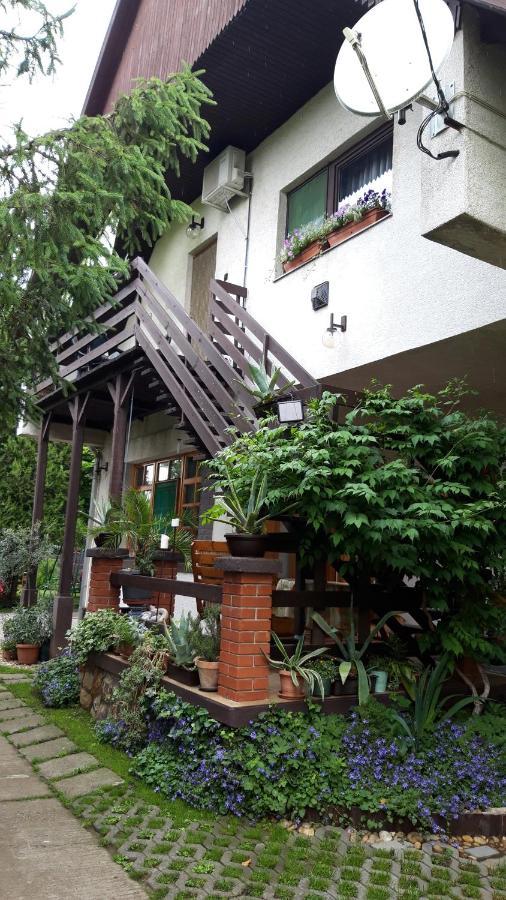 Agave Apartman Velence Esterno foto